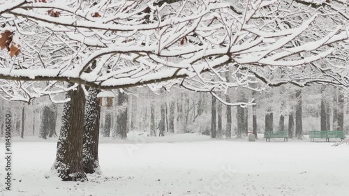 it is snowing heavily in the park, large flakes of snow are slowly falling on tree branches, people are walking dogs, elderly people are doing Nordic walking with sticks