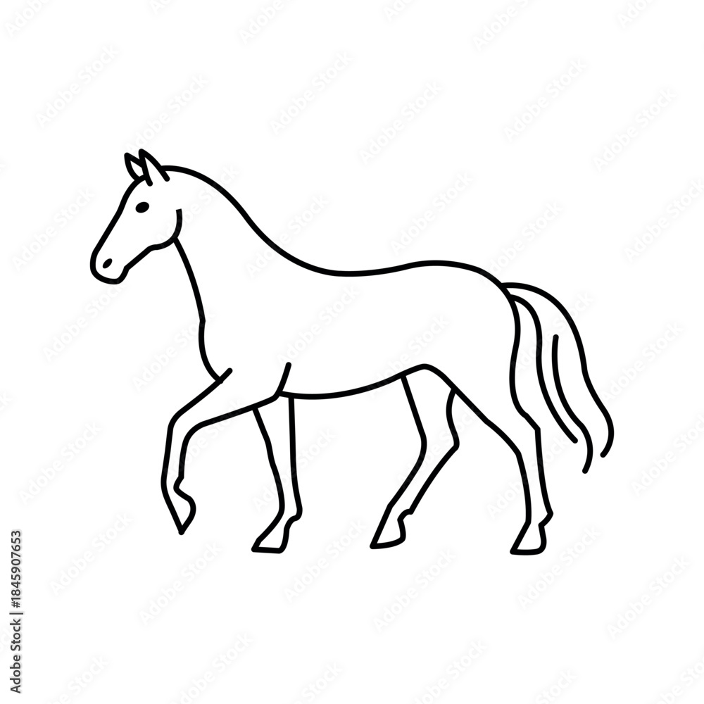 Obraz premium Horse. Hand drawn vector illustration in minimalistic style