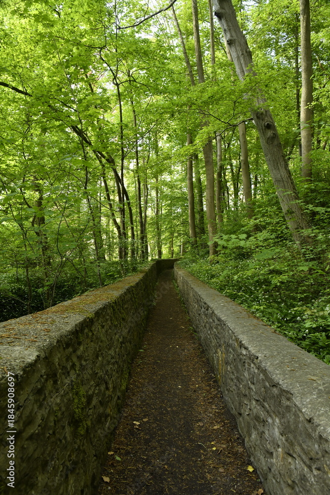 Obraz premium Chemin entre les deux vieux murs en pierres au Tunnel des Amoureux à Écaussinnes-Lalaing (Soignies)