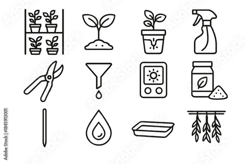 Care tray humidity organic adjustable seedling vector timer herb basil icon wick