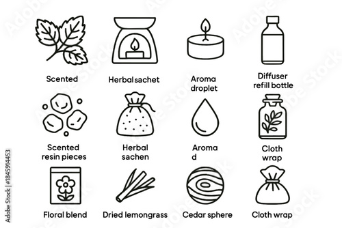 Icons set botanical tea aromatherapy leaves resin vector lemongrass string wrap scented