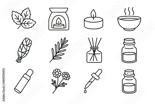 Icon peppermint minimalist lamp chamomile coaster aromatherapy pipette vector oil icons sprig