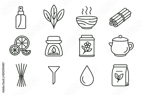 Vector spray pot natural icons herb wax aromatherapy icon dried diffuser herbal