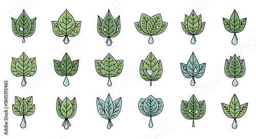 A collection of stylized green and blue leaf icons with water droplets, illustrating various botanical shapes and patterns.