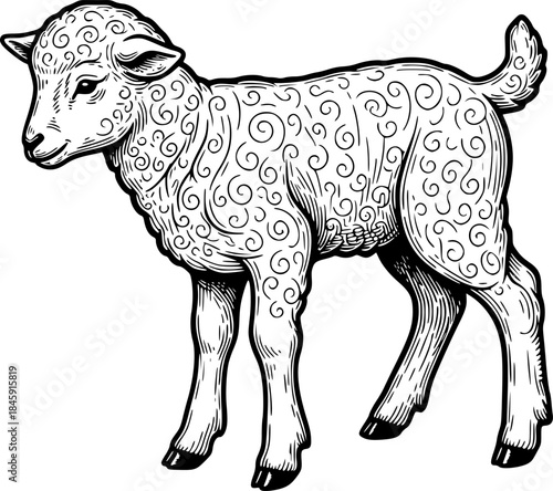little lamb engraving black and white outline