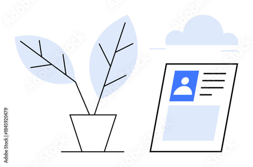 Personal branding concept. Personal branding elements featured in a modern user profile card design and natural elements. Personal branding for networking and creative portfolios. Ideal for identity