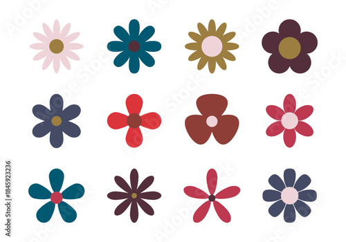 Chamomile. Colorful daisy round flower set. Camomile icon collection. Isolated on background. Flat design. Vector illustration. Summer chamomile flower