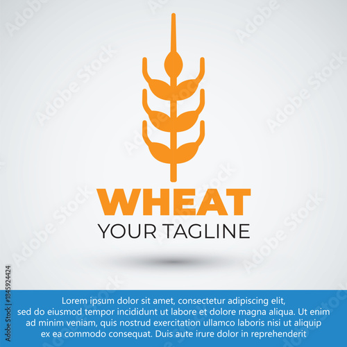simple flat wheat logo design