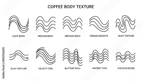 Coffee depictions showcase varying body compositions representing liquid qualities in a minimalist style diagram