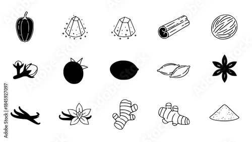 Spice assortment displays diverse flavors in an outlined presentation for culinary creativity ingredient variety.