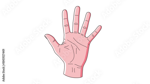 Cartoon illustration of an open human hand with five fingers spread out, palm facing forward, on a white background.