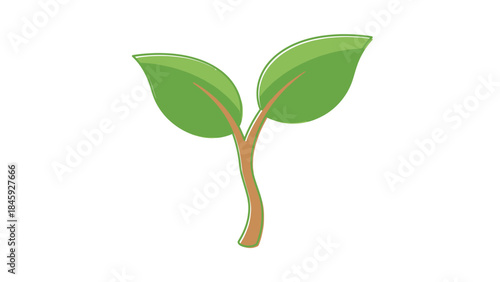 A simple illustration of a young green plant sprout with two leaves and a brown stem, symbolizing growth and new beginnings.