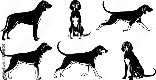 American foxhound dog silhouettes, American foxhound silhouette, American foxhound, American foxhound vector