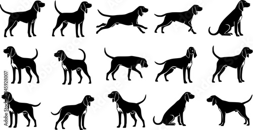 American foxhound dog silhouettes, American foxhound silhouette, American foxhound, American foxhound vector