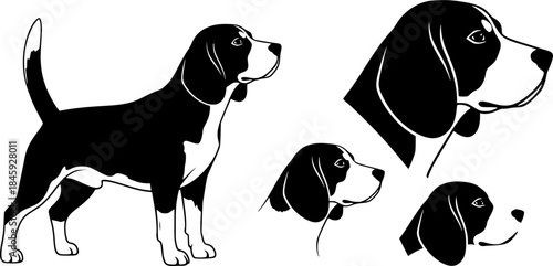Beagle dog silhouettes, Beagle silhouette, Beagle