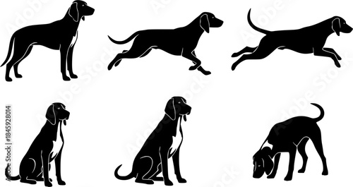 American foxhound dog silhouettes, American foxhound silhouette, American foxhound, American foxhound vector