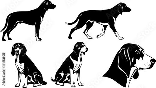 American foxhound dog silhouettes, American foxhound silhouette, American foxhound, American foxhound vector