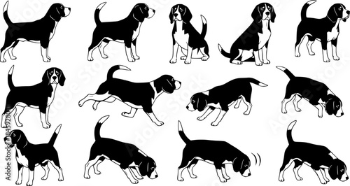 Beagle dog silhouettes, Beagle silhouette, Beagle