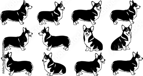 Corgi dog silhouettes, Corgi dog animal silhouette, Corgi silhouettes