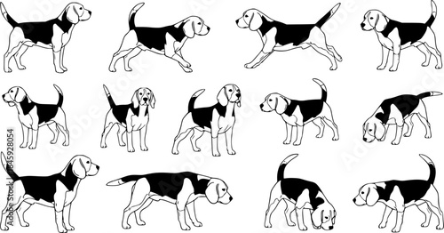 Beagle dog silhouettes, Beagle silhouette, Beagle