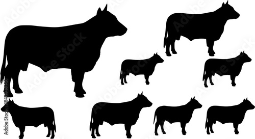  Aberdeen angus silhouettes, Aberdeen angus silhouette