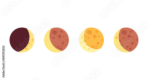 Illustration of the four phases of the moon on a white background