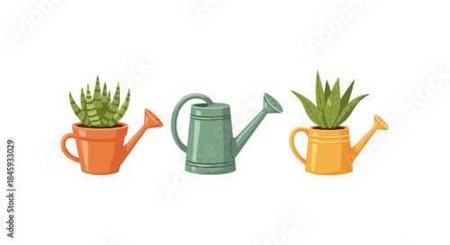 Three cute watering cans with potted succulent plants in different colors