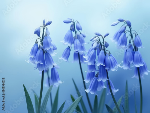 Blue flowers bloom gracefully in serene setting