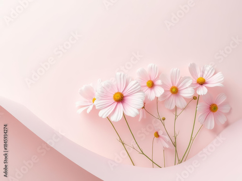 Delicate pink flowers arranged on soft pastel background