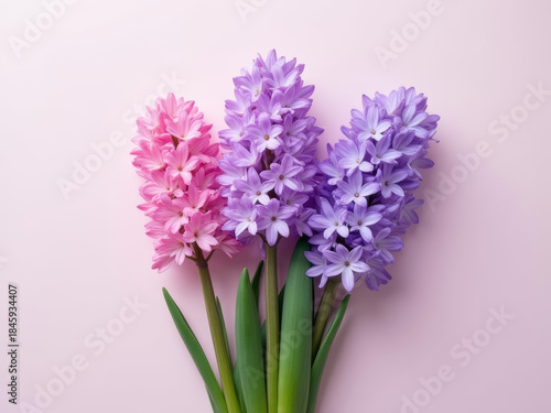Beautiful pink and purple flowers arranged elegantly