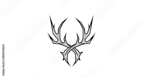 A sharp, symmetrical tattoo design of crossed deer antlers, illustrated in a detailed, vintage black and white engraving style.