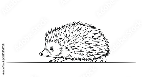 A detailed hand-drawn sketch of a small hedgehog walking, captured in a realistic black and white ink illustration style.