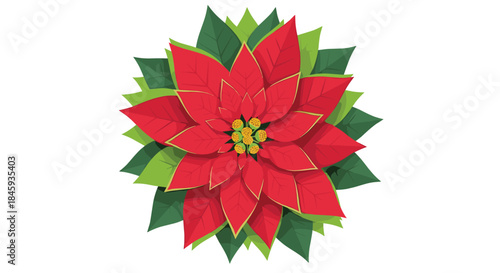 Beautiful red poinsettia flower illustration with green leaves, a classic Christmas and winter holiday symbol, viewed from the top on a white background.