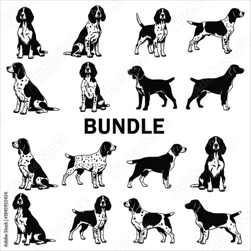 A collection of versatile dog breed illustrations in sitting and standing poses bundle