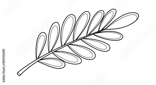 Simple and elegant black and white line art illustration of a delicate plant branch with oval-shaped leaves on a white background.
