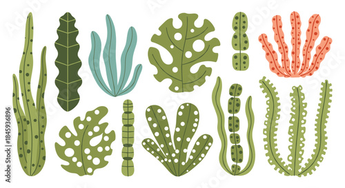A collection of various stylized seaweeds and aquatic plants in shades of green and red, illustrated with a textured effect.
