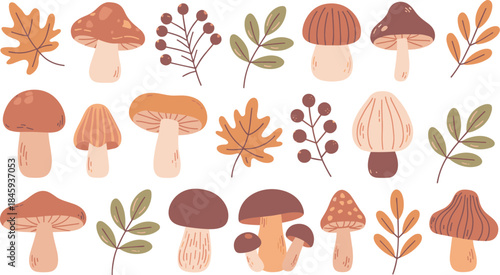 Autumn Mushroom Vector Set Fall Forest Fungi Leaves Illustration
