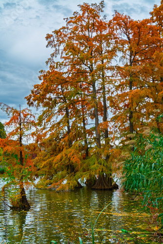 Backwater of the Koros river at Szarvas