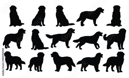 A collection of black golden retriever silhouettes showcasing different poses and actions