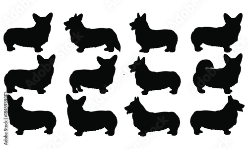 A collection of black corgi dog silhouettes in various poses, perfect for graphic design projects