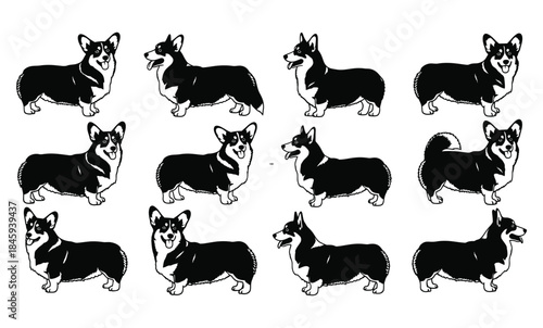 corgi, dog, silhouette, black, collection, pattern, vector, illustration, animal, pet, breed, canine, cute, graphic, design, sticker, logo, icon, profile, pose, white background, Pembroke Welsh Corgi,