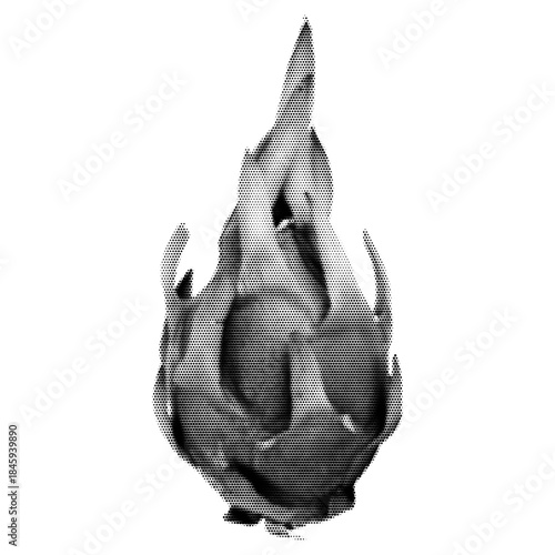 Dragon fruit vintage y2k halftone art, exotic tropical produce stipple brutalist retro vector png with transparent background, bold 2000s aesthetic photocopy effect tattoo
