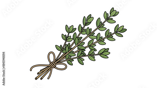 Fresh Thyme Herb Sprigs Tied with Twine.