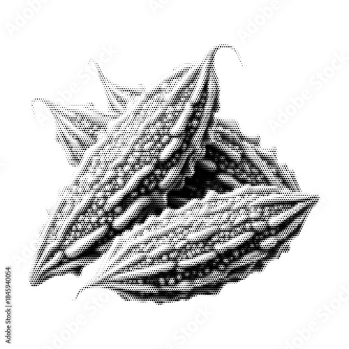 Bitter gourd vintage y2k halftone art, medicinal vegetable stipple brutalist retro vector png with transparent background, raw 2000s aesthetic photocopy effect tattoo