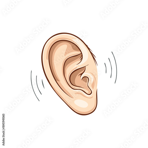 Illustration of an ear with sound waves. The anatomy, hearing and listening concept.