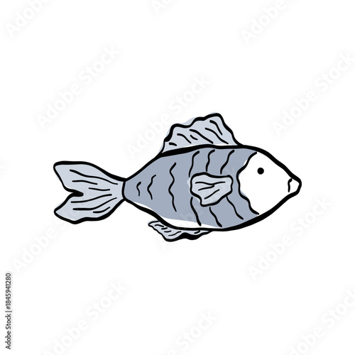 Fish illustration in clean line art with soft color accents, perfect for seafood menus, packaging, coastal cuisine projects and gourmet branding elements