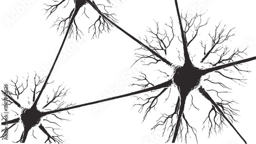 Black and white detailed of neurons with dendrites and axons