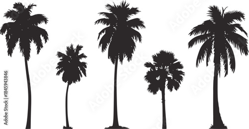 Five black palm tree silhouettes varying heights white