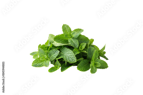 Mint Leaves Fresh Green Aromatic Herb Isolated