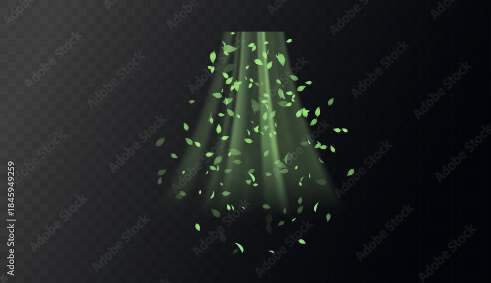 Fototapeta premium Green swirl elements